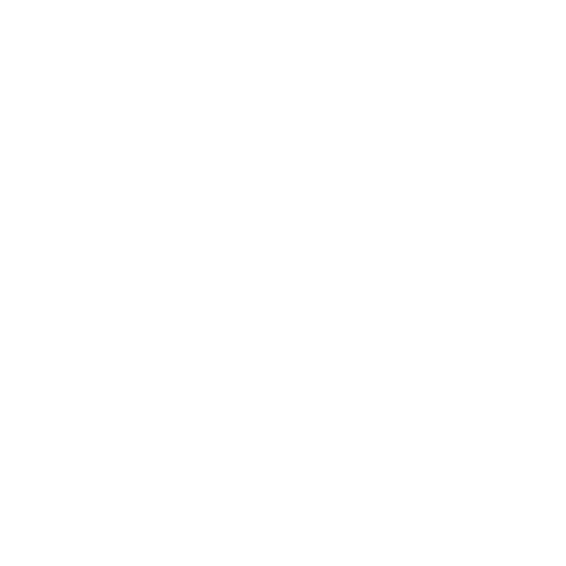 TikTok Logo